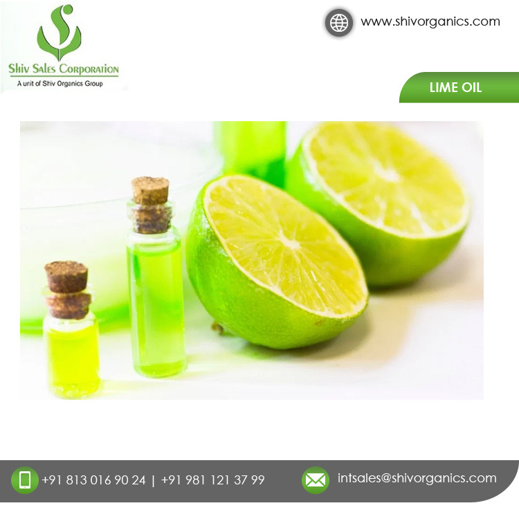 Buy Wholesale Organic Supplier of Top Quality Lime Essential Oil for Bulk Buyers at Reasonable Price