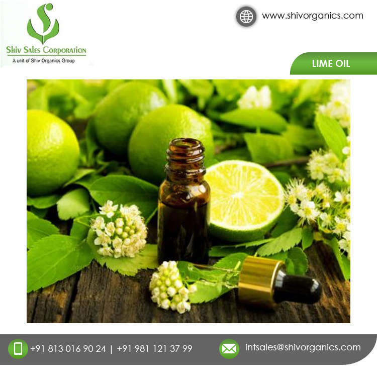 Buy Wholesale Organic Supplier of Top Quality Lime Essential Oil for Bulk Buyers at Reasonable Price