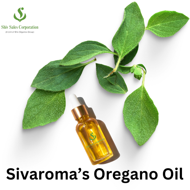 Manufacturer OEM ODM Personal Care Essential Oil, Organic Oregano Essential Oil Hot Sale Aroma Source Essential Perfume Oils