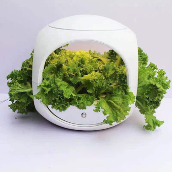 Intelligent Hydroponic Herb Garden Self-Watering Planter Indoor Growing System Portable Smart Garden With Led Light