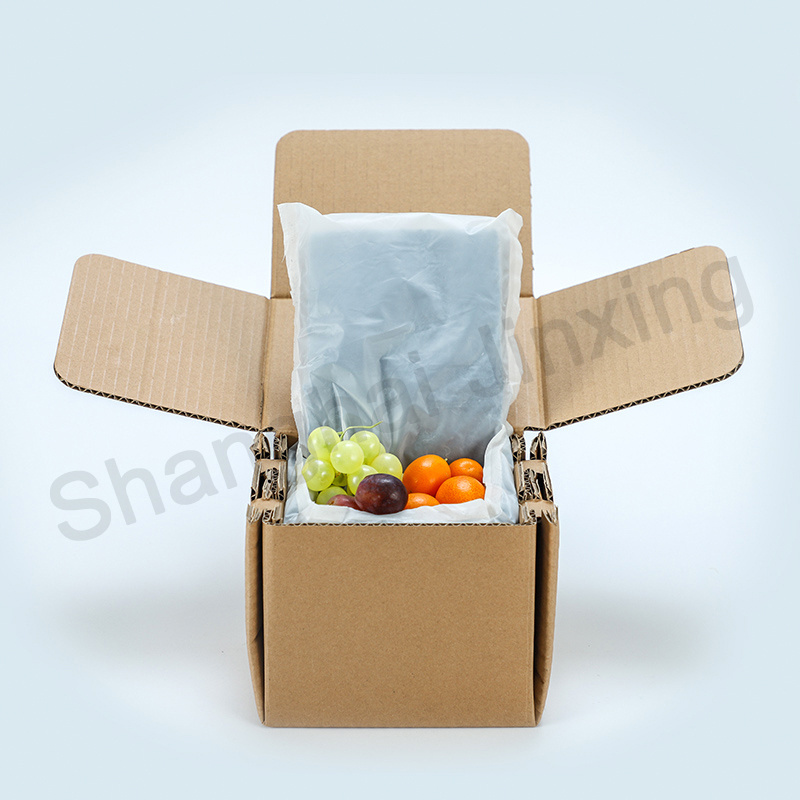 Custom Printed Insulated Foam Shipping Box for Food Packaging Carton Cooler Bag Meat Box Cardboard fish transportation box