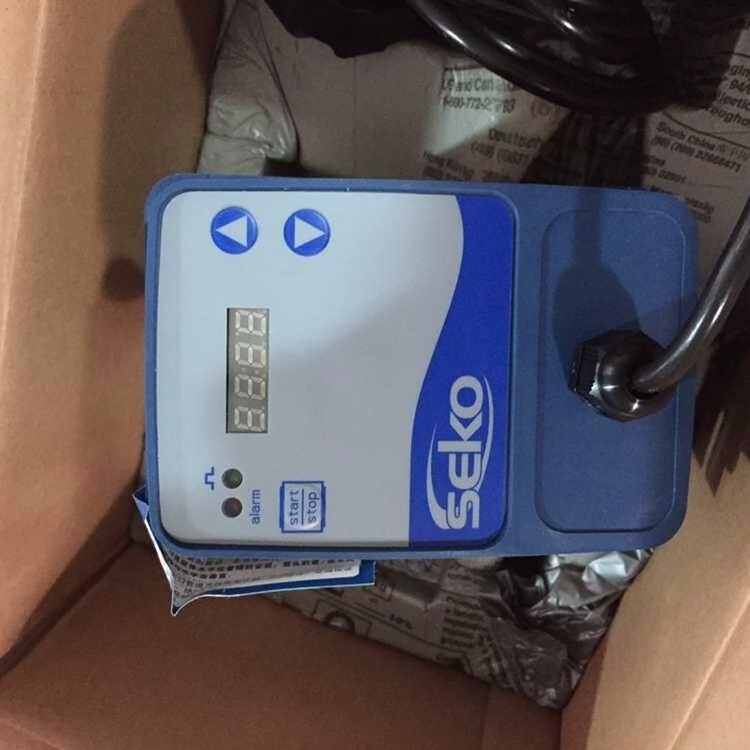 Italy swimming pool DMS Seko Solenoid Accurate dosing pump