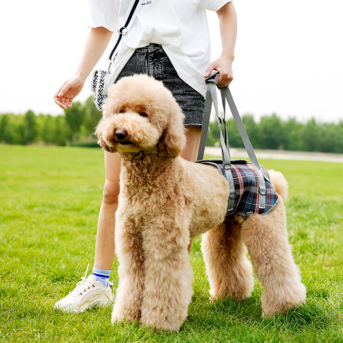 Elderly Pet Dogs Comfortable Hind Leg Disability Abdominal Auxiliary Lifting Walking Belt