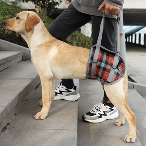 Elderly Pet Dogs Comfortable Hind Leg Disability Abdominal Auxiliary Lifting Walking Belt