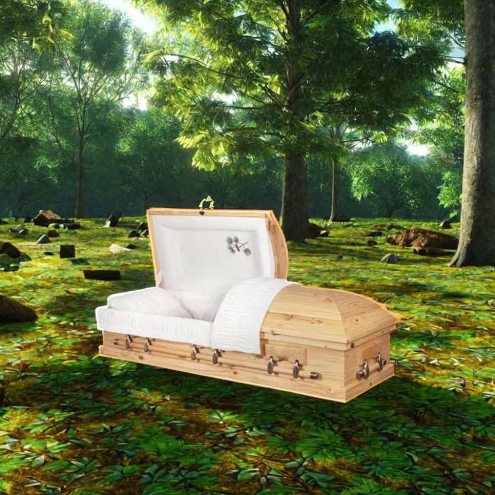 Jingyue Tong HY-AC101 American Style Premium Coffin/Casket High Quality Funeral Supplies