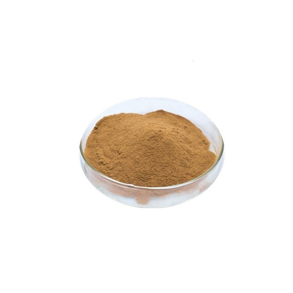 Wholesale Price Concrete Additives Gluconic Acid Sodium Gluconate Powder With Good Quality