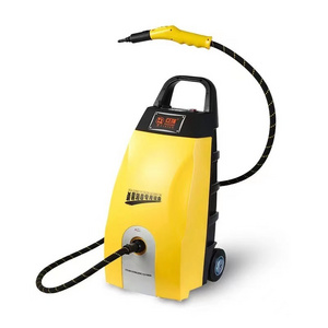 high pressure engine cleaner steam wash machine with CE car engine steam wash machine with Ozone clean