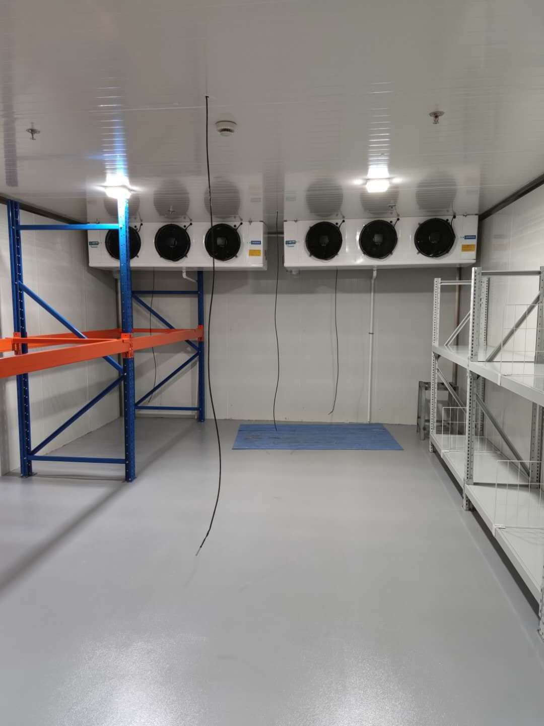 Fruit Cold Storage Rooms Price, Freezer Room from