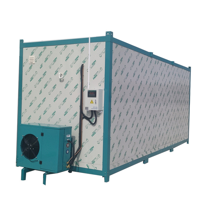 One-Stop Solution Freezer Container Compressor Insulation Cold Room Storage for Food Fish Meat