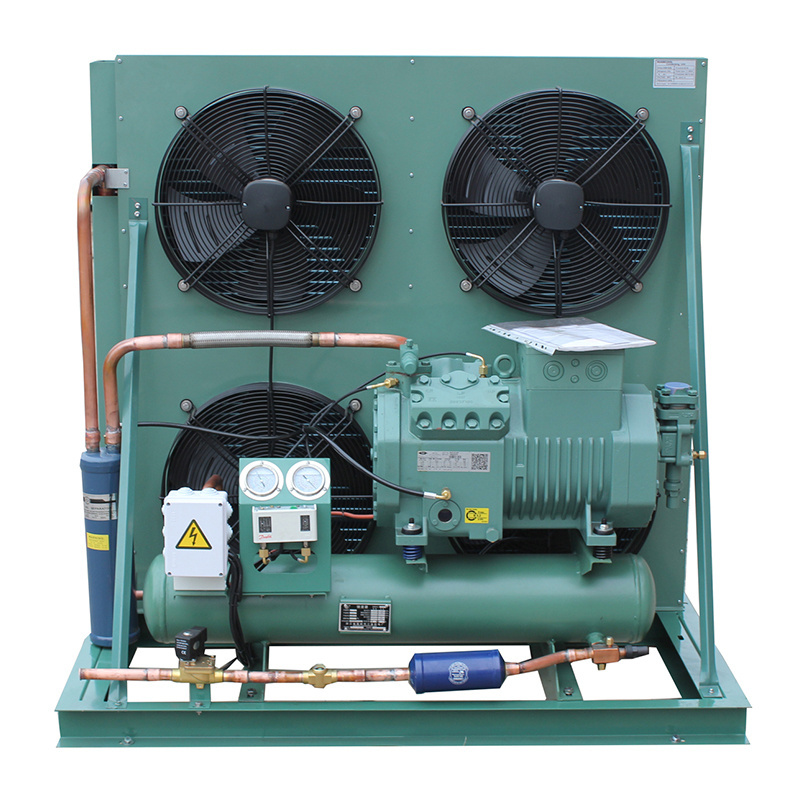 Customized 12vdc Mini Compressor Blast Freezer Walk In Cooler Condensing Unit and Evaporator