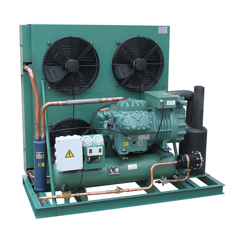 Customized 12vdc Mini Compressor Blast Freezer Walk In Cooler Condensing Unit and Evaporator