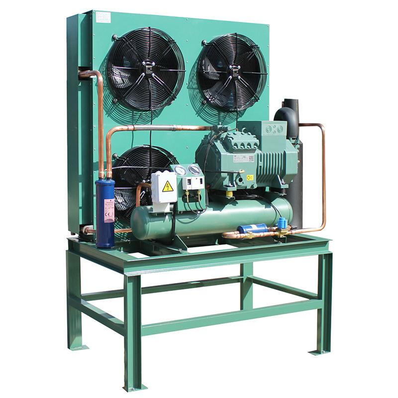 Customized 12vdc Mini Compressor Blast Freezer Walk In Cooler Condensing Unit and Evaporator