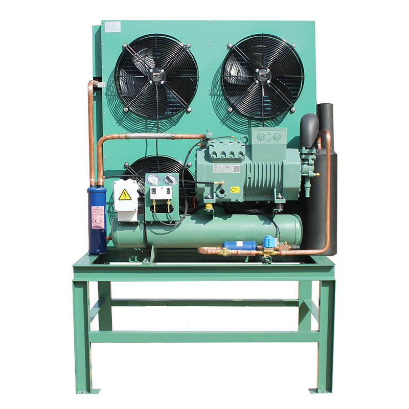 Customized 12vdc Mini Compressor Blast Freezer Walk In Cooler Condensing Unit and Evaporator