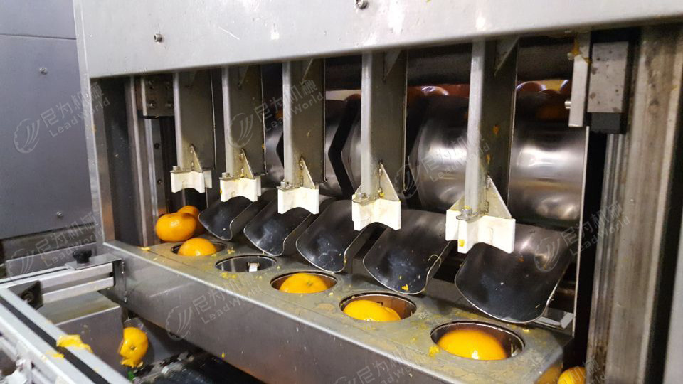 Leadworld Fruit peeling machine Orange Peeler Machine