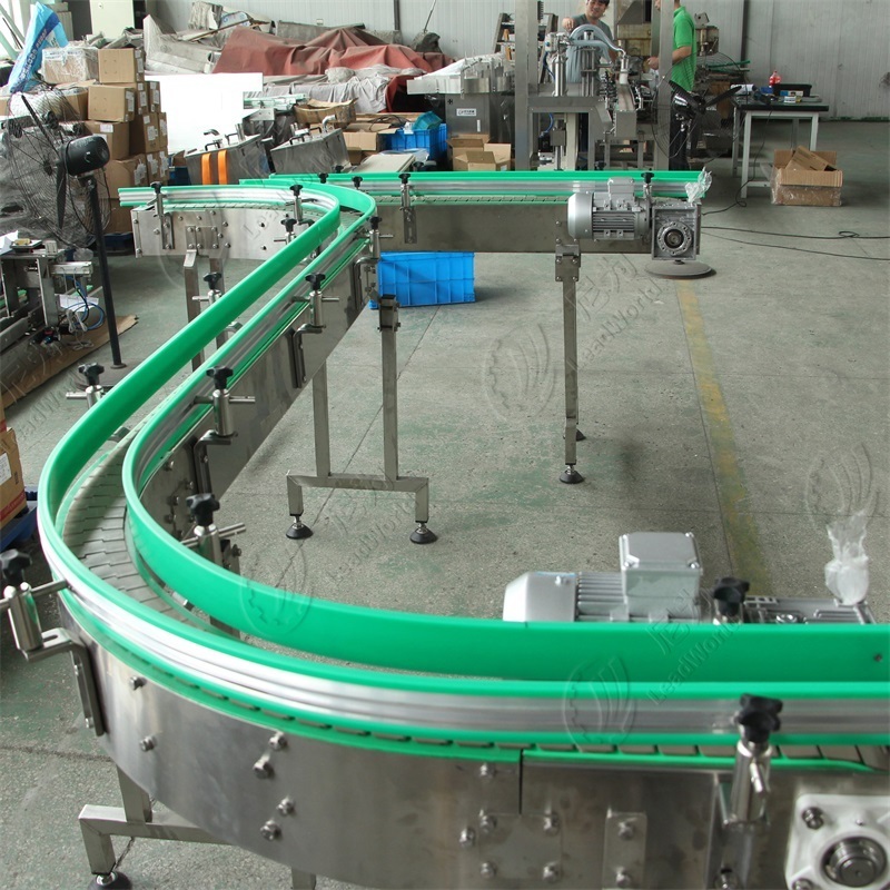 Leadworld Flexible chain conveyor stainless steel conveyor chains plastic chain conveyor