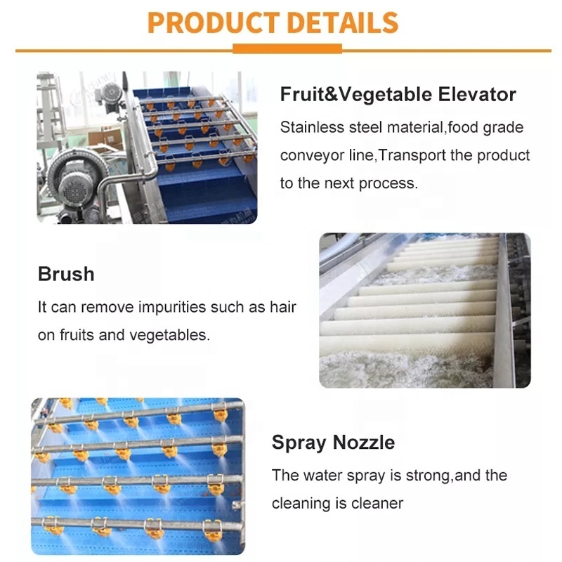 Leadworld Fruit Vegetable Cleaning Line Pineapple Orange Mango Garlic Apple washer Tomato Potatoes Washing Machine