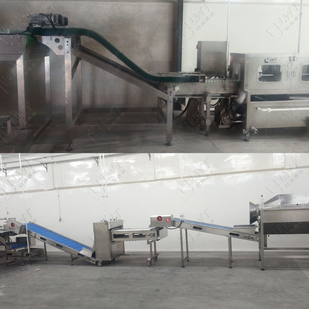 Leadworld High quality china tuna sardine fish processing equipment for canned fish production line