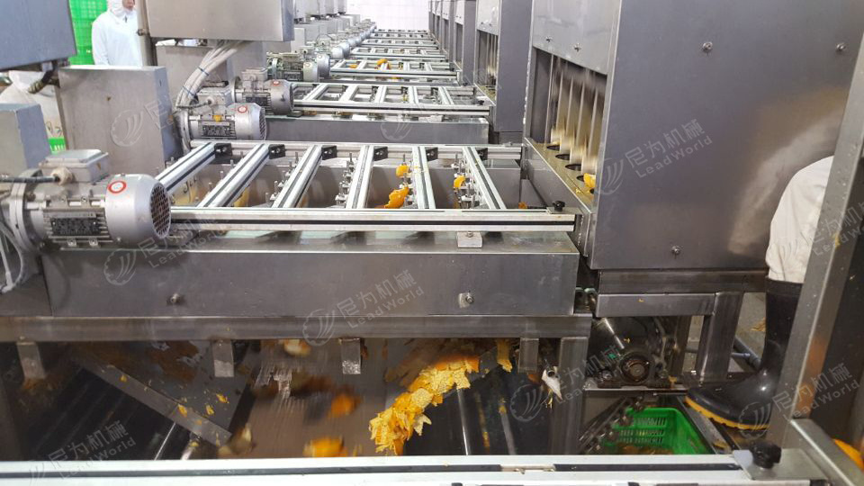 Leadworld Fruit peeling machine Orange Peeler Machine