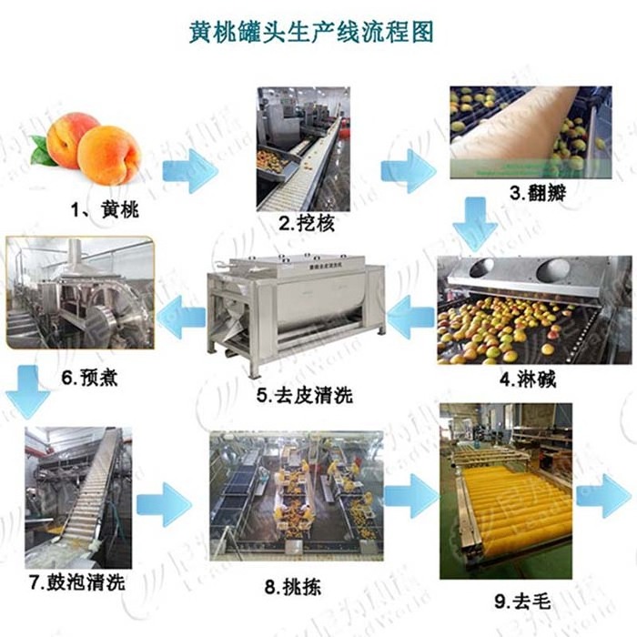 Automatic Machine Fruit Canned Production Line for tomato, banana, mango, kiwifruit, strawberry, peach, apricot red bayberry