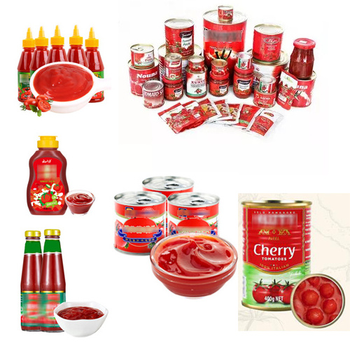 Leadworld Industrial tinned tomatoes canned food canning production line sauce machine tomato concentrate production line