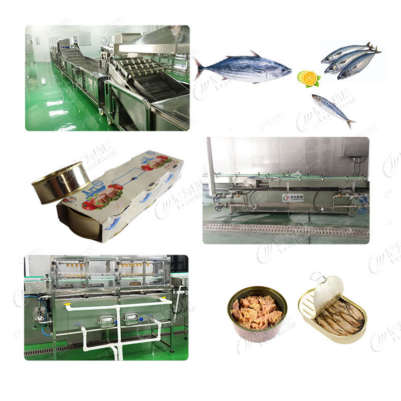 Leadworld Full automatic tuna sardines fish canning line production making machine