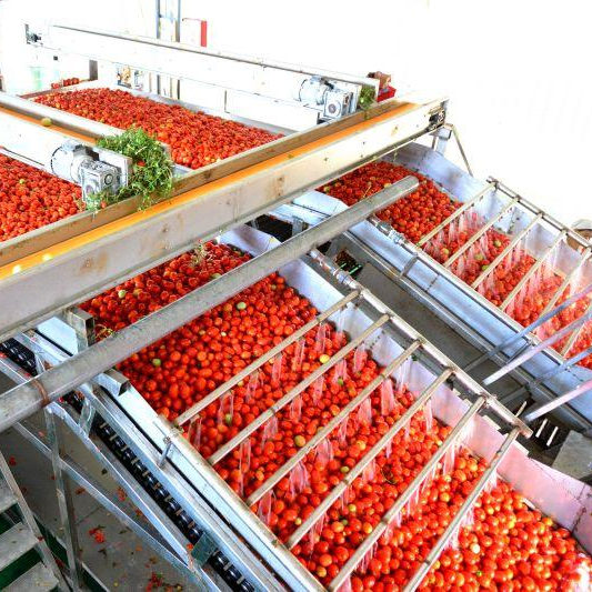 Leadworld Industrial tinned tomatoes canned food canning production line sauce machine tomato concentrate production line