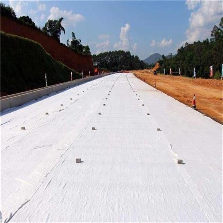 Felt Fabric Geotextile For Retaining Wall Geotextile Fabric Manufacturer Drainage Board With Geotextile