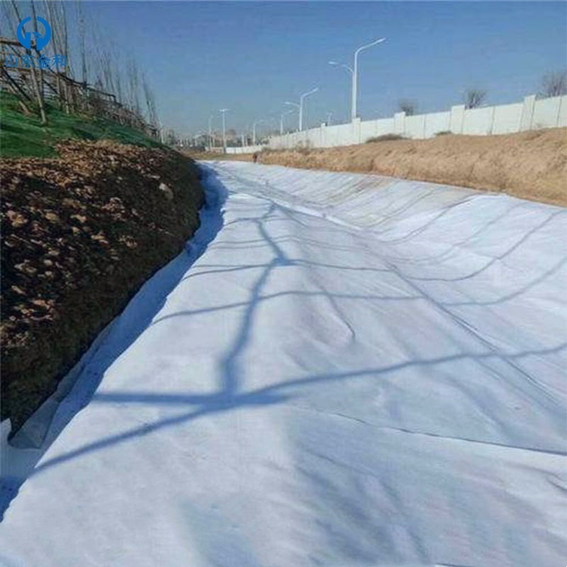 400g/m2 Geotextile Non-woven Geotextiles Non Woven Filament Geotextile Felt Fabric For Retaining Wall