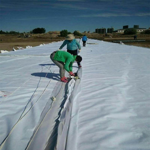 Felt Fabric Geotextile For Retaining Wall Geotextile Fabric Manufacturer Drainage Board With Geotextile