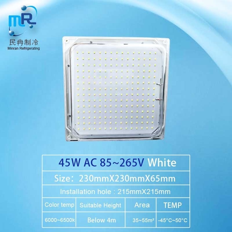 AC220V 35W/45W Waterproof LED Lamp for Home & Kitchen for Cold Storage & Cold Room IP65 Ceiling Lights for Warehouse Use