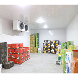 Customized Compressor Freezer Room Deep Freezer Cold Room For Sale