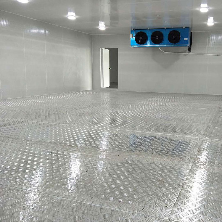 Wholesale dead body cold storage corpse cooling room