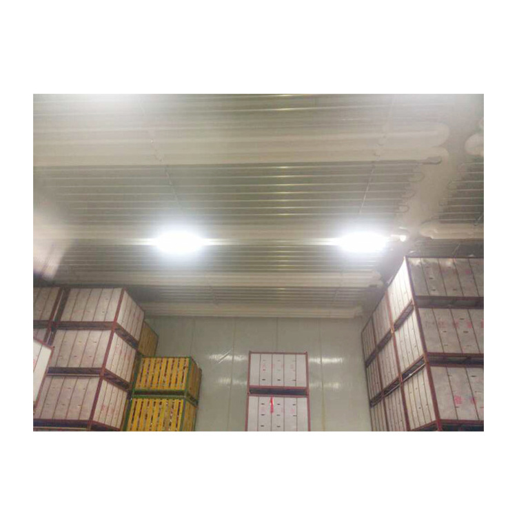 Wholesale dead body cold storage corpse cooling room