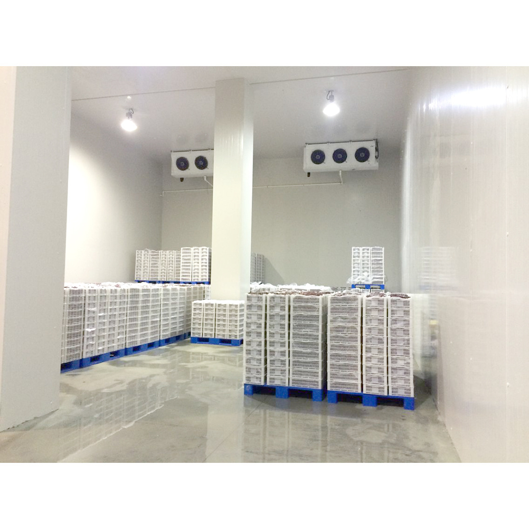 Customized Compressor Freezer Room Deep Freezer Cold Room For Sale