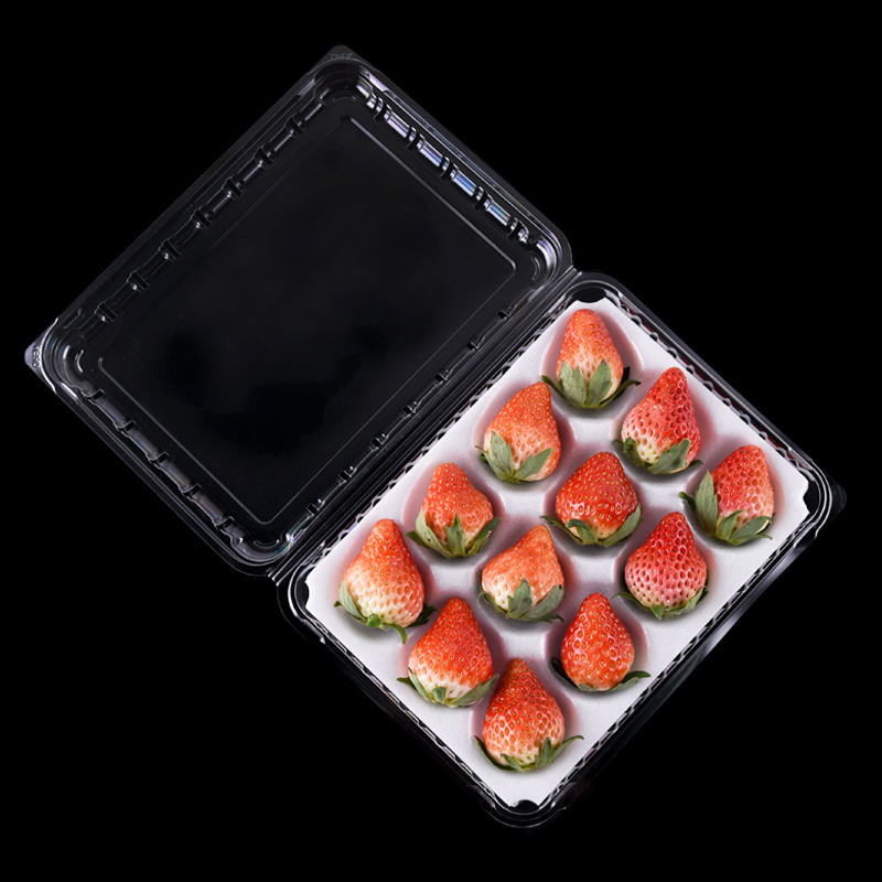 Foam Lining Disposable Plastic Packaging Box for Strawberries Transparent Gift Packaging Strawberry Container For Fruit