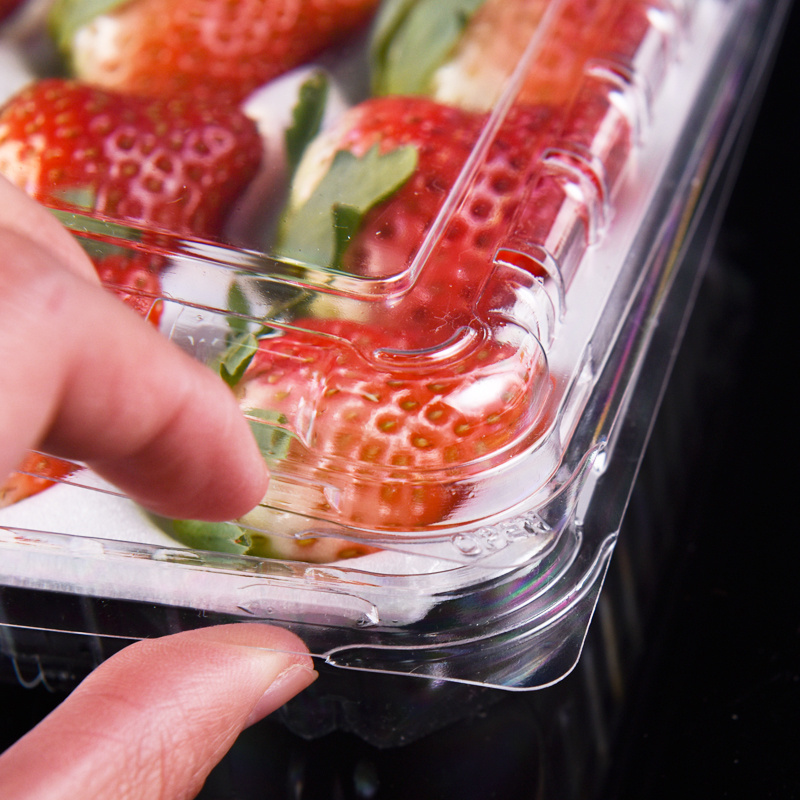 Foam Lining Disposable Plastic Packaging Box for Strawberries Transparent Gift Packaging Strawberry Container For Fruit