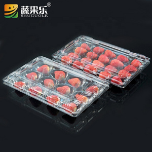 wholesale 12pcs Strawberry Storage Container Tray Disposable Plastic Strawberry Packing Punnet