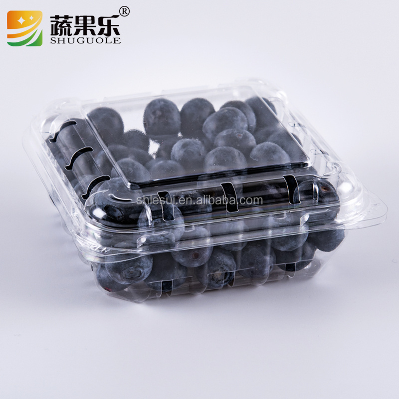 custom 125g plastic pet disposable Clear blueberry clamshell container blueberry strawberry punnet for fruit