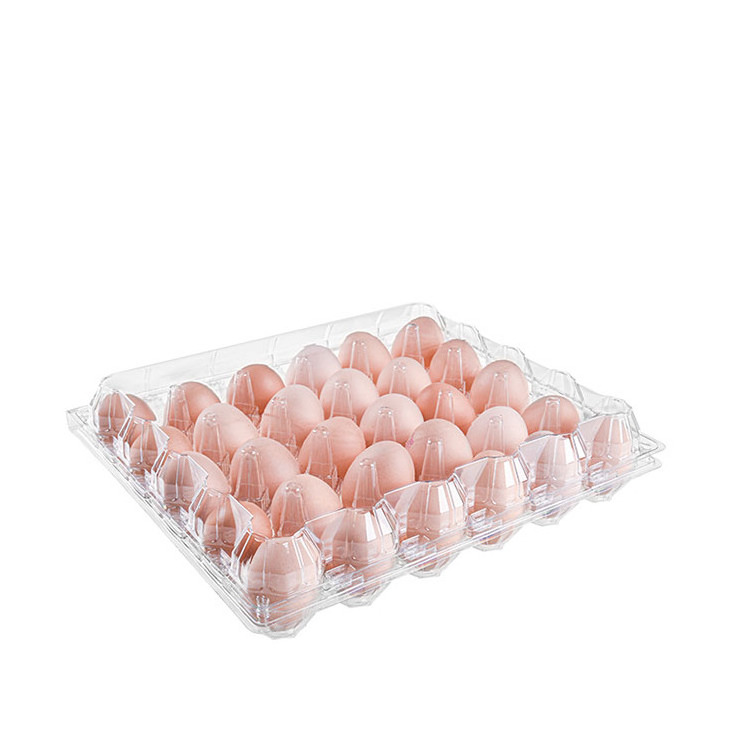 Factory Wholesale 30 Cells Egg Storage Box Clamshell Rectangular Custom Transparent Box Plastic Trays Egg Packaging