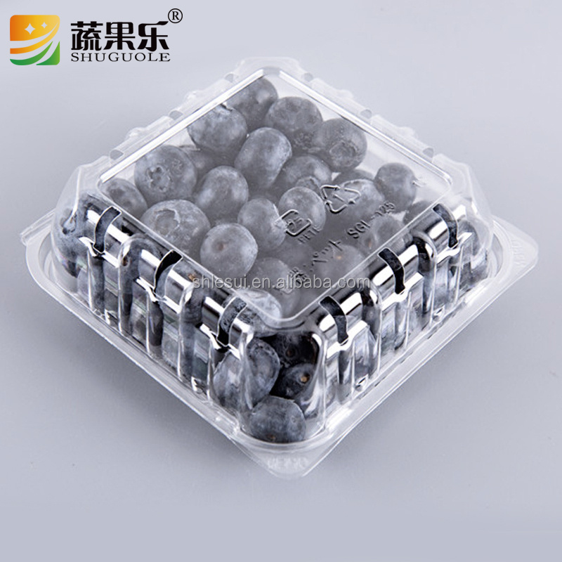 custom 125g plastic pet disposable Clear blueberry clamshell container blueberry strawberry punnet for fruit