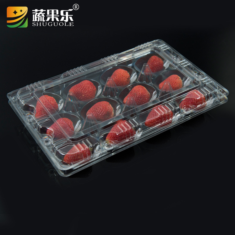 wholesale 12pcs Strawberry Storage Container Tray Disposable Plastic Strawberry Packing Punnet