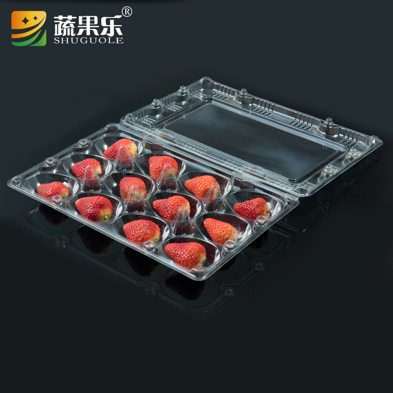 wholesale 12pcs Strawberry Storage Container Tray Disposable Plastic Strawberry Packing Punnet