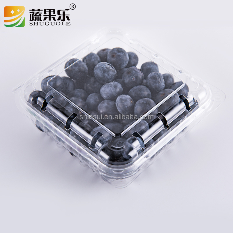 custom 125g plastic pet disposable Clear blueberry clamshell container blueberry strawberry punnet for fruit