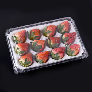 Foam Lining Disposable Plastic Packaging Box for Strawberries Transparent Gift Packaging Strawberry Container For Fruit