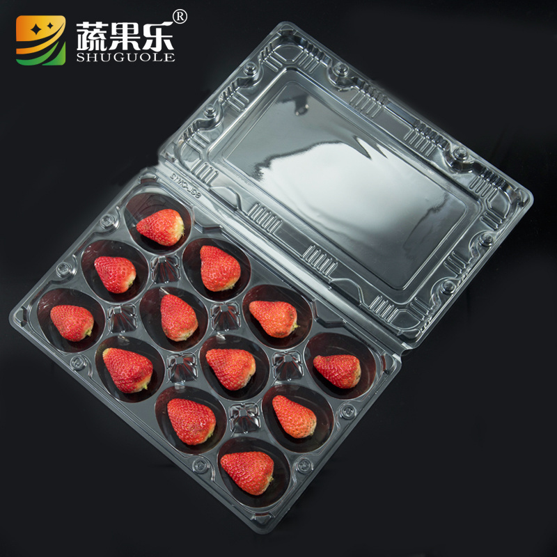 wholesale 12pcs Strawberry Storage Container Tray Disposable Plastic Strawberry Packing Punnet