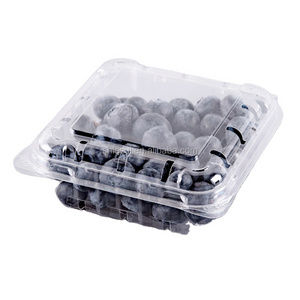 custom 125g plastic pet disposable Clear blueberry clamshell container blueberry strawberry punnet for fruit