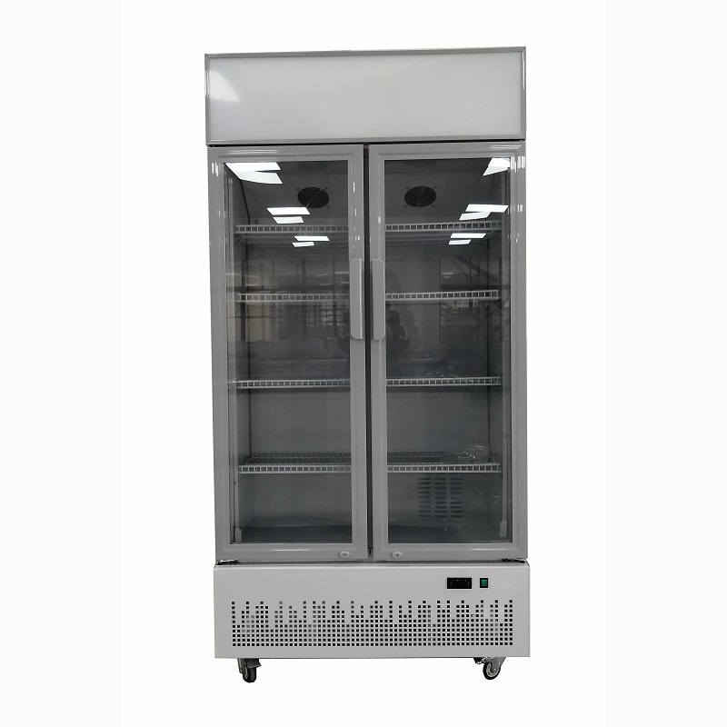 Commercial supermarket refrigerator transparent glass door fridge cola bottle cooler upright fridge drinks cooler