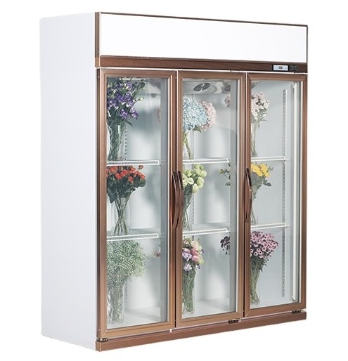 Commercial transparent glass door refrigerator display chiller flower fridge used showcase refrigerator for flowers