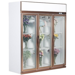 Commercial transparent glass door refrigerator display chiller flower fridge used showcase refrigerator for flowers