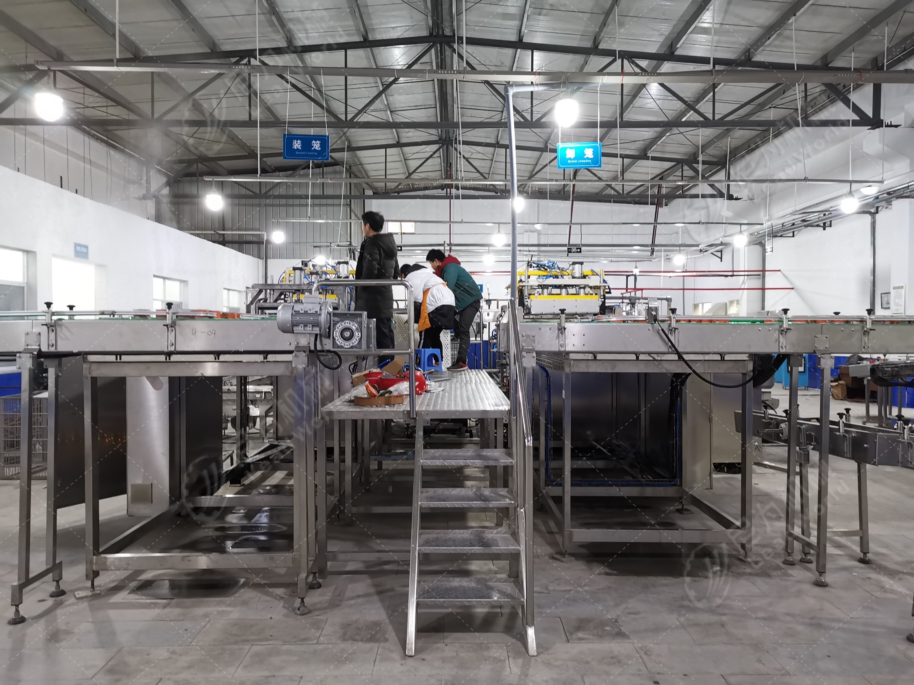 Pet Dog Food Making Production Line  Canned Wet Pet Food Production Line